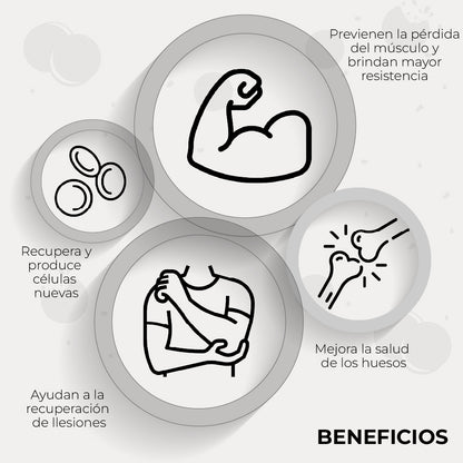 Proteína Fitbody PRO